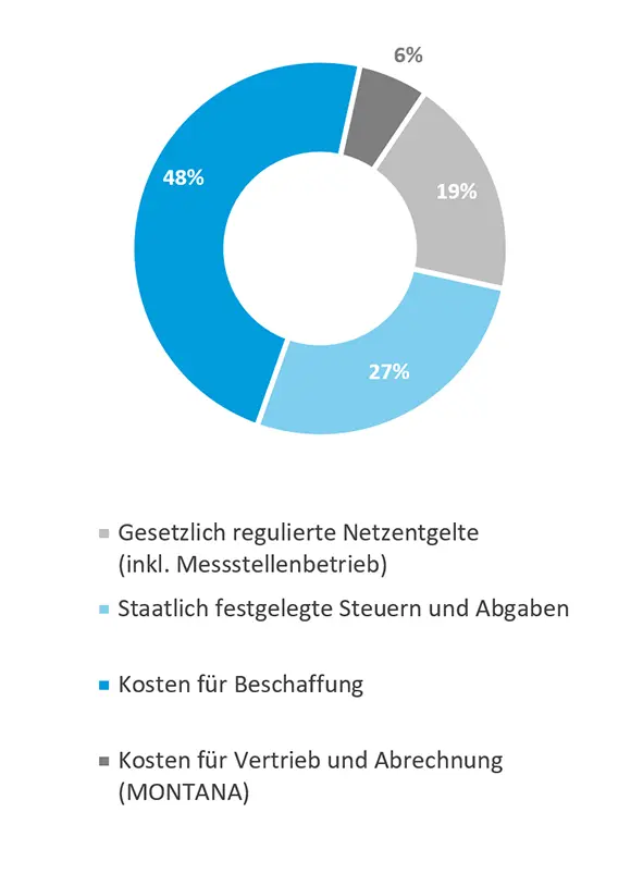 Die Grafik zeigt die Zusammensetzung des Erdgaspreises 2024. Beispielhafte Darstellung für Haushaltskunden in Deutschland bei 20.000 kWh