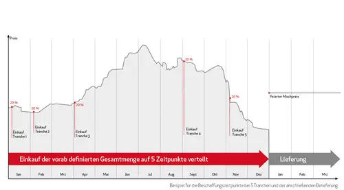 Versorgungsmodell mit Risikostreuung und -minimierung